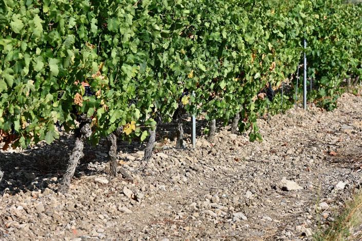 Image No.10-House for sale