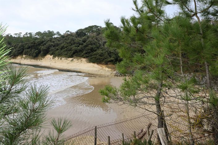 Image No.6-Maison de 3 chambres à vendre à Meschers-sur-Gironde