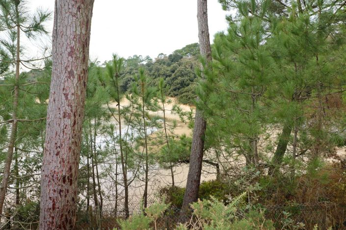 Image No.7-Maison de 2 chambres à vendre à Meschers-sur-Gironde