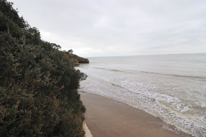 Image No.8-Maison de 2 chambres à vendre à Meschers-sur-Gironde