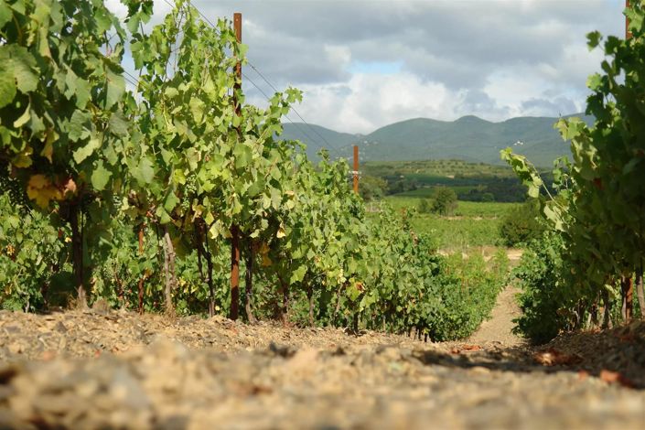 Image No.15-Maison de 2 chambres à vendre à Faugères