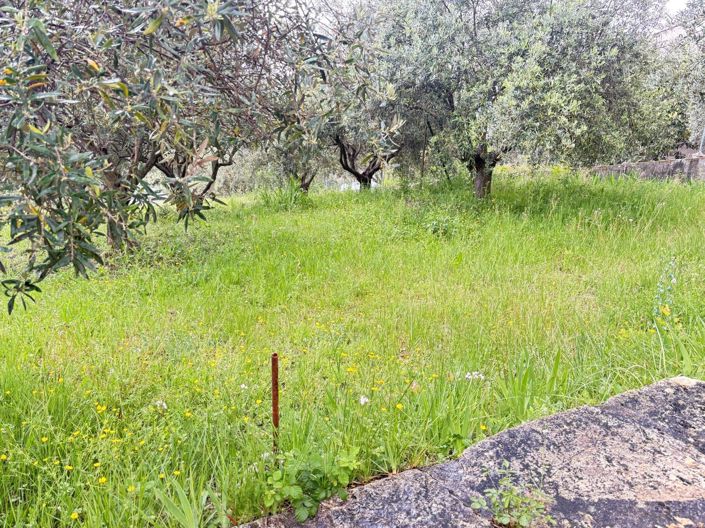 Image No.44-Maison de 4 chambres à vendre à Figanières