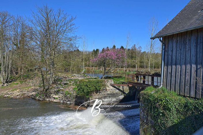 Image No.3-6 Bed House for sale