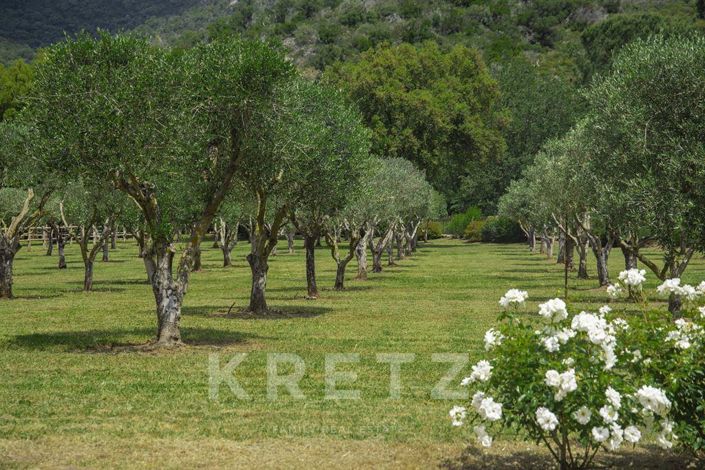 Image No.12-9 Bed House for sale