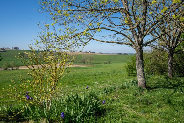 Image No.20-4 Bed House for sale