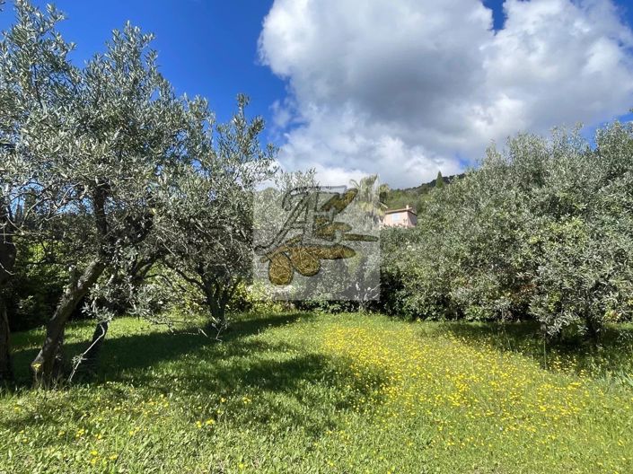 Image No.10-Maison de 4 chambres à vendre à Seillans