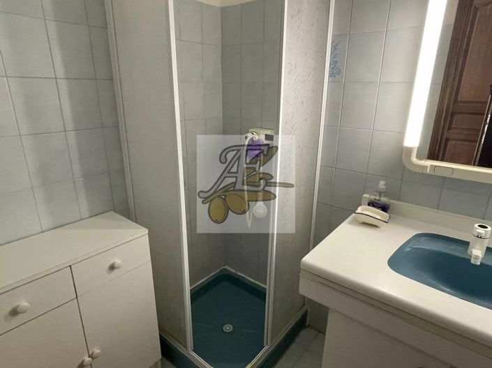 Image No.30-Maison de 4 chambres à vendre à Seillans