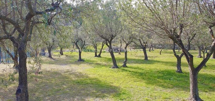 Image No.25-Maison de 5 chambres à vendre à Callas