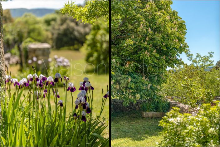 Image No.11-Maison de 4 chambres à vendre à Simiane-la-Rotonde