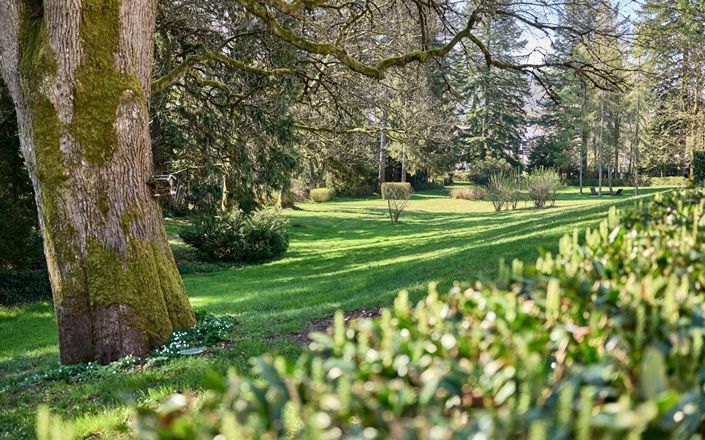 Image No.18-Propriété de 14 chambres à vendre à Le Val-d'Ajol