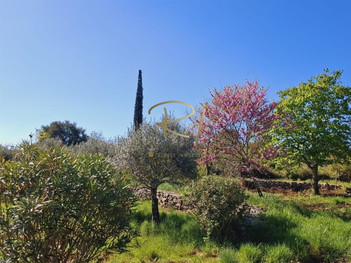 Image No.6-4 Bed House for sale