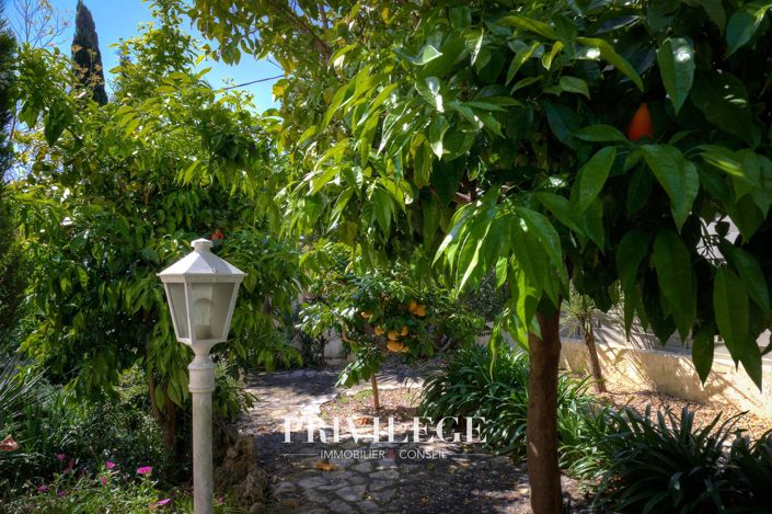 Image No.6-Maison de 6 chambres à vendre à Mougins