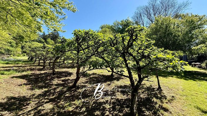 Image No.17-4 Bed House for sale