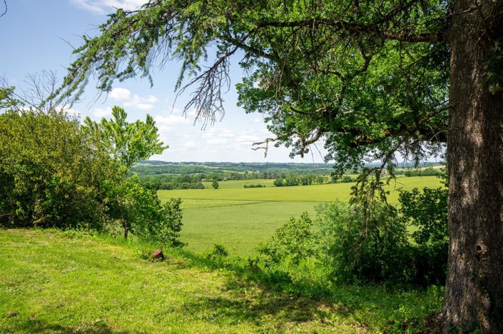 Image No.5-5 Bed House for sale