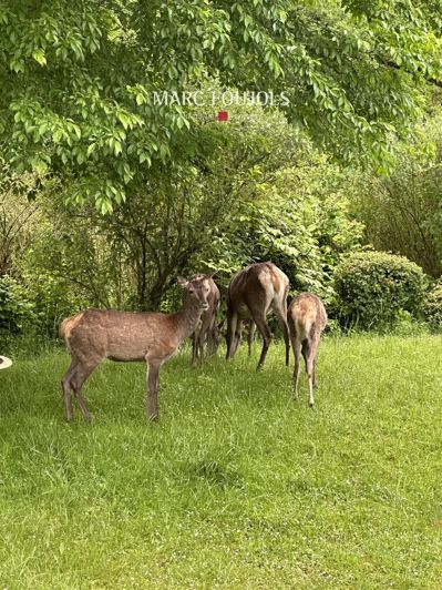 Image No.16-Maison de 4 chambres à vendre à Chantilly