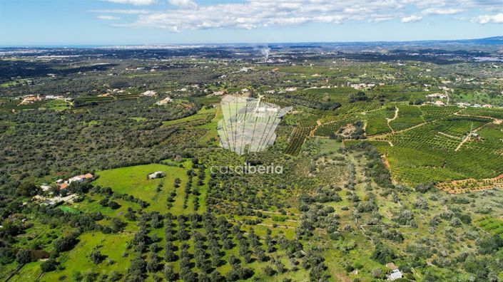 Image No.11-3 Bed House for sale