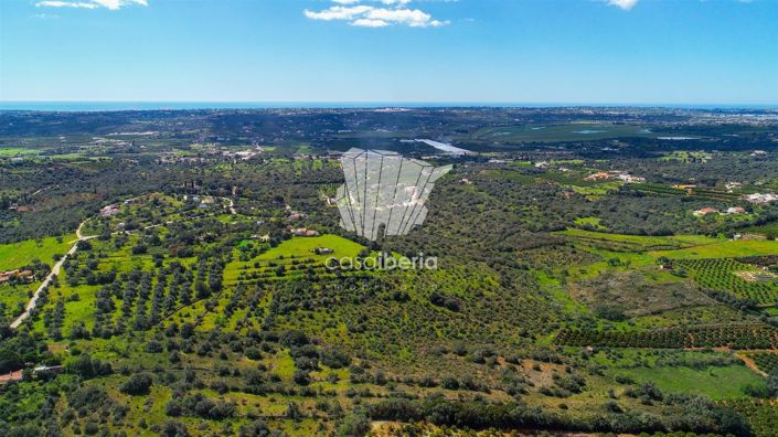 Image No.12-3 Bed House for sale