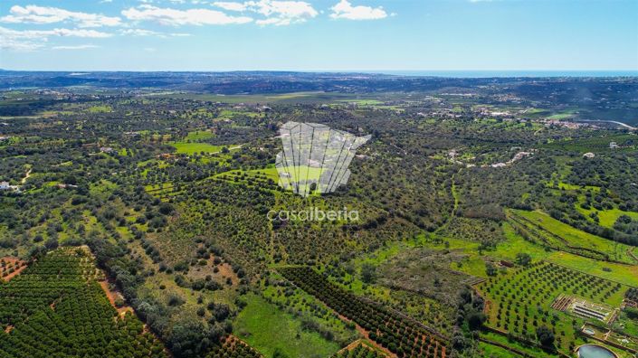 Image No.16-3 Bed House for sale