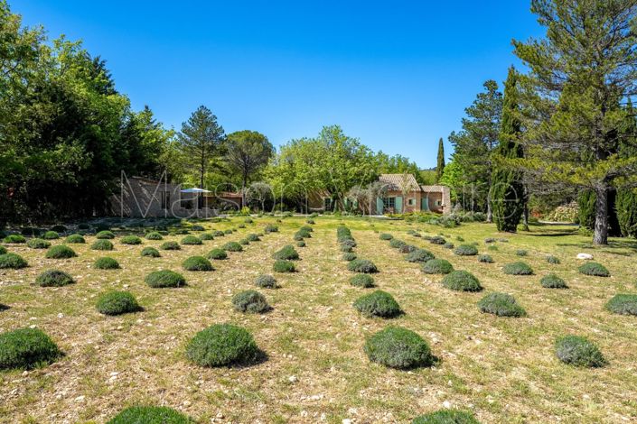 Image No.3-4 Bed House for sale