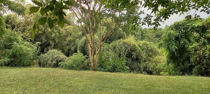 Image No.28-4 Bed House for sale