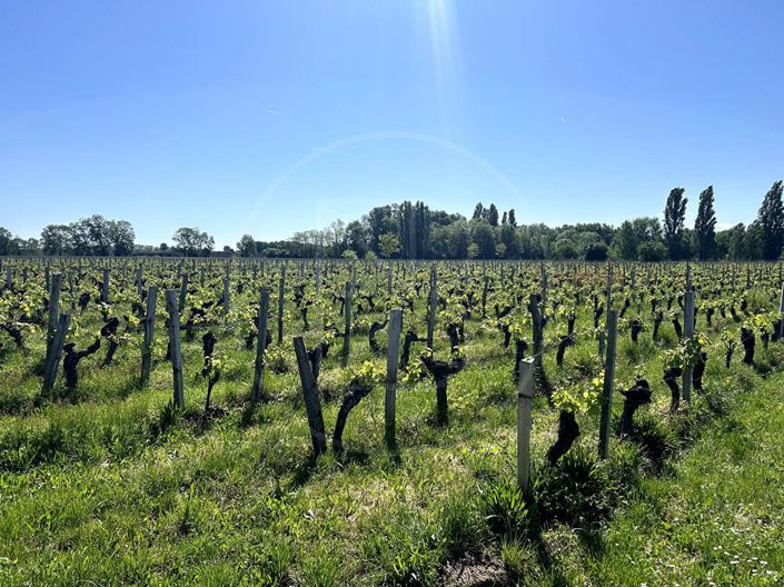 Image No.1-Maison à vendre à Saint-Emilion