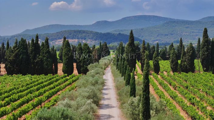 Image No.2-Maison de 8 chambres à vendre à Hyères