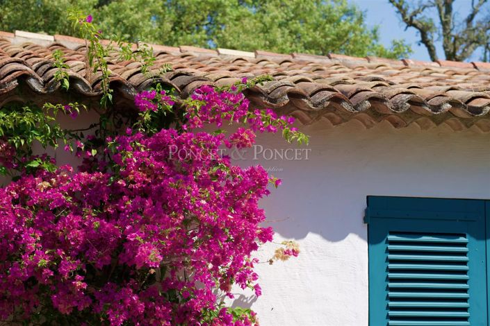 Image No.9-Maison de 4 chambres à vendre à Saint-Tropez