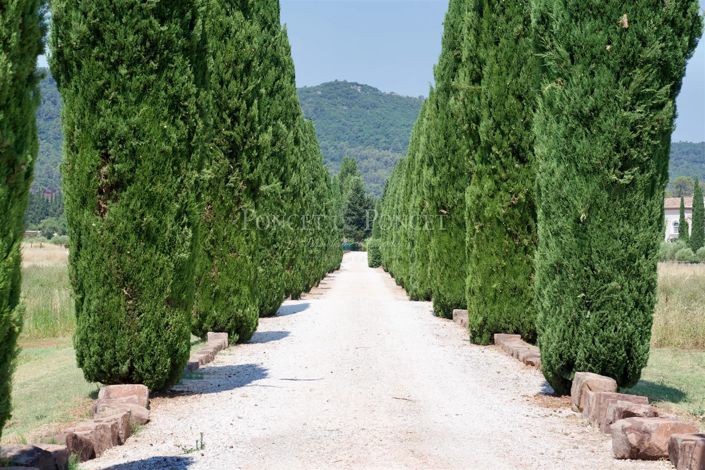 Image No.3-Maison de 12 chambres à vendre à Brignoles