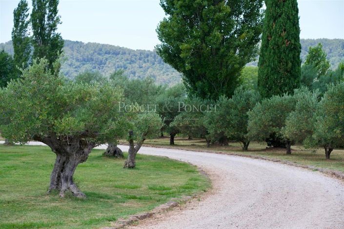 Image No.5-12 Bed House for sale