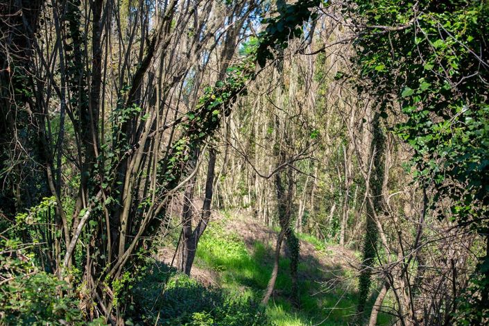 Image No.30-Maison de 6 chambres à vendre à Valbonne