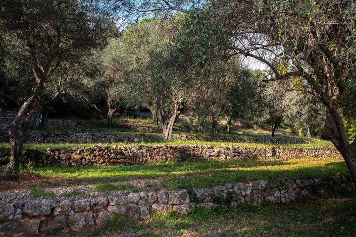 Image No.32-5 Bed House for sale