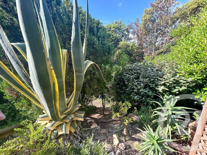 Image No.8-Appartement à vendre à Cavalaire-sur-Mer