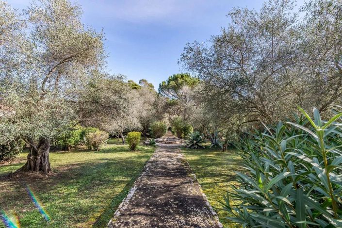 Image No.1-Maison à vendre à Mougins