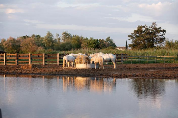 Image No.17-Maison de 3 chambres à vendre à Saintes-Maries-de-la-Mer