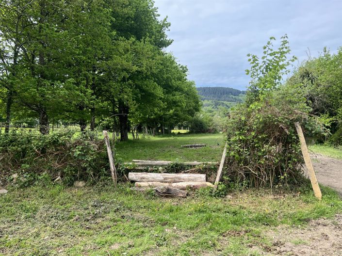 Image No.16-4 Bed House for sale