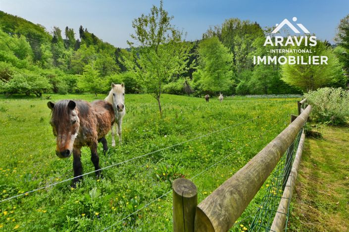 Image No.20-6 Bed House for sale