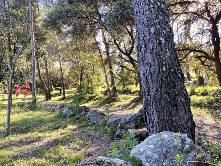 Image No.22-5 Bed House for sale