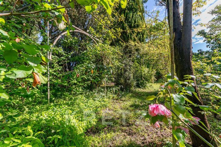 Image No.19-4 Bed House for sale