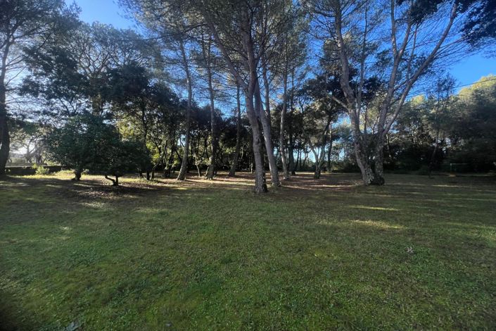 Image No.11-3 Bed House for sale