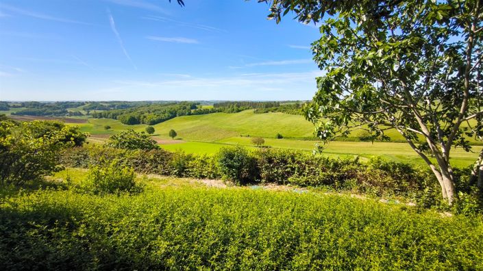 Image No.34-Maison de 9 chambres à vendre à Cazes-Mondenard