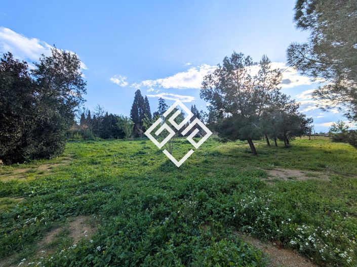 Image No.15-Maison de 5 chambres à vendre à Homps