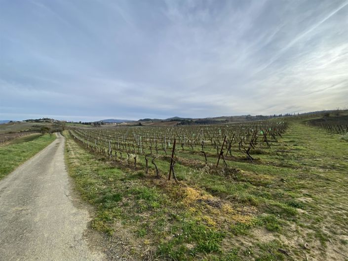 Image No.3-4 Bed House for sale