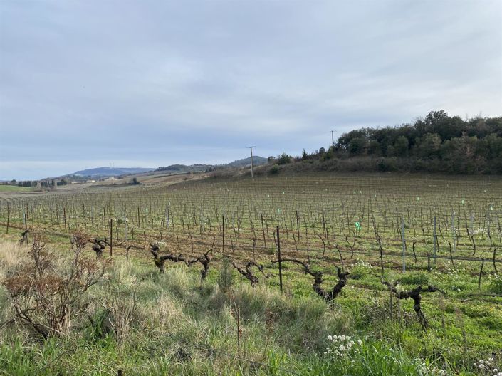 Image No.4-4 Bed House for sale