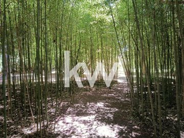 amolodwievbvrco011