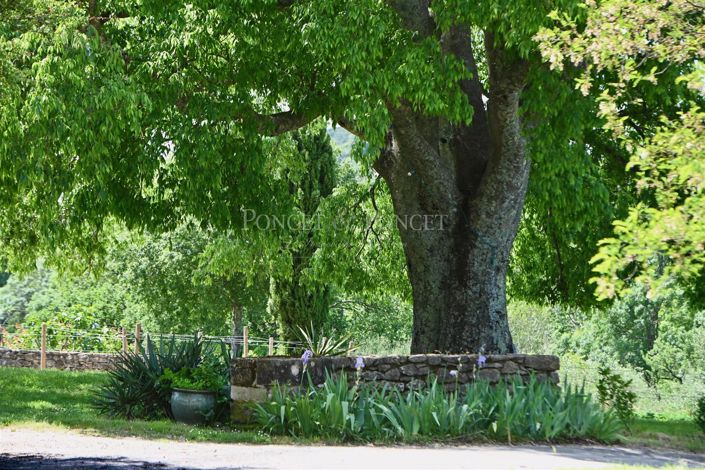 Image No.50-Maison de 12 chambres à vendre à Sommières