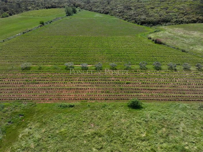 Image No.11-House for sale