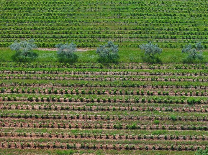 Image No.12-Maison à vendre à Nîmes