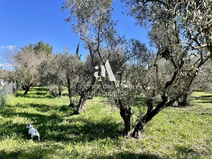 Image No.17-House for sale