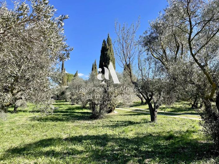 Image No.19-House for sale