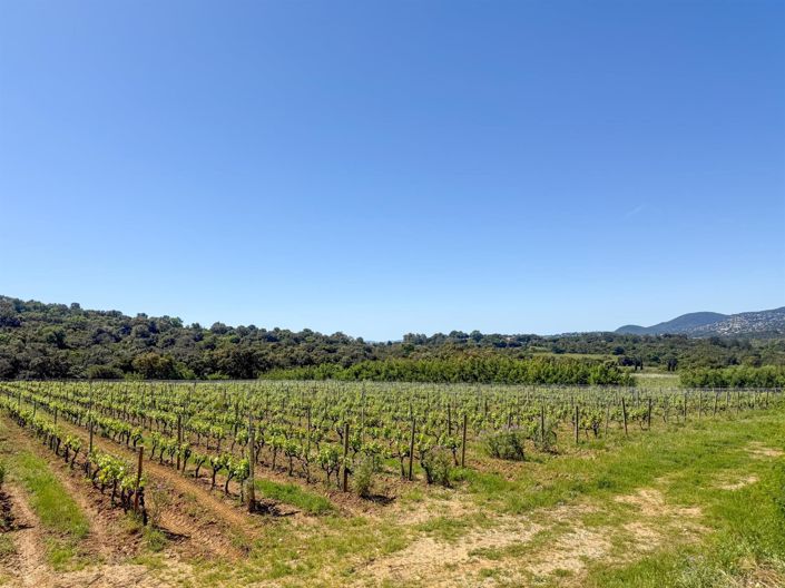 Image No.29-4 Bed House for sale